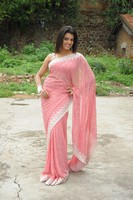 Tashu Kaushik Saree Photos